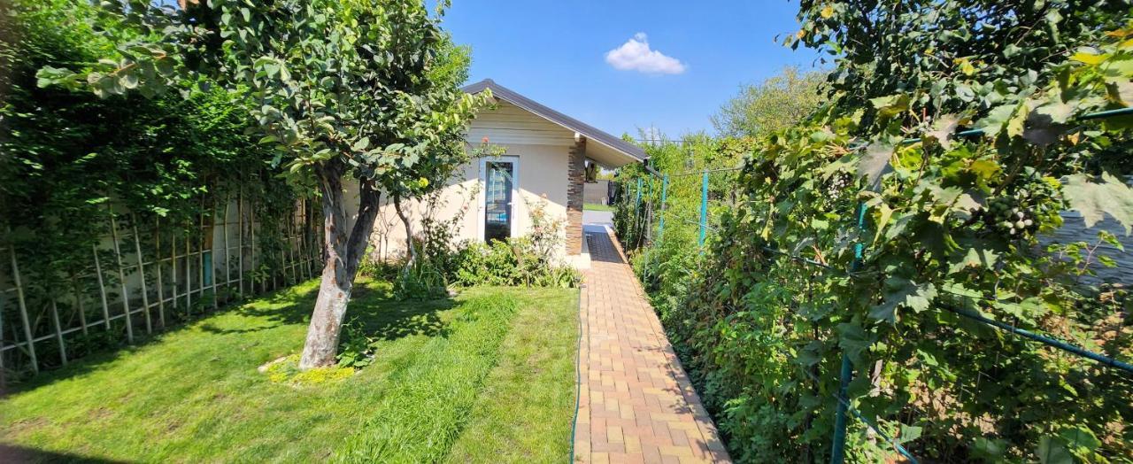 Morii Lake Pool Villa Bukarest Exterior foto